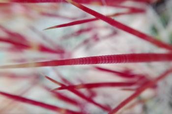 2019-04 Ausstellung Sandra Dieter 004