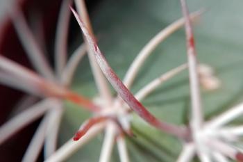 Ausstellung Frau Dieter 007